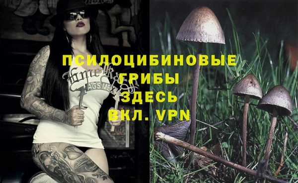 дмт Алзамай