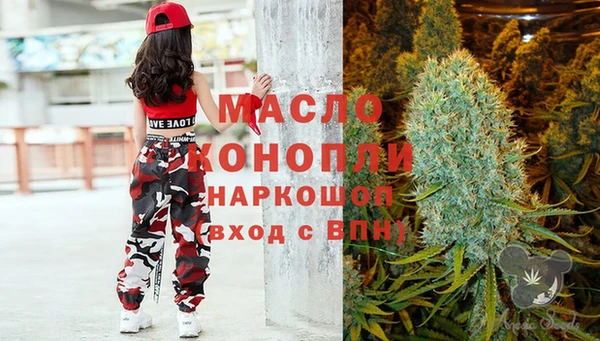 дмт Алзамай
