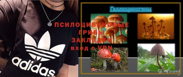 дмт Алзамай