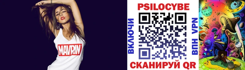 купить закладку  Нефтекумск  Псилоцибиновые грибы Magic Shrooms 
